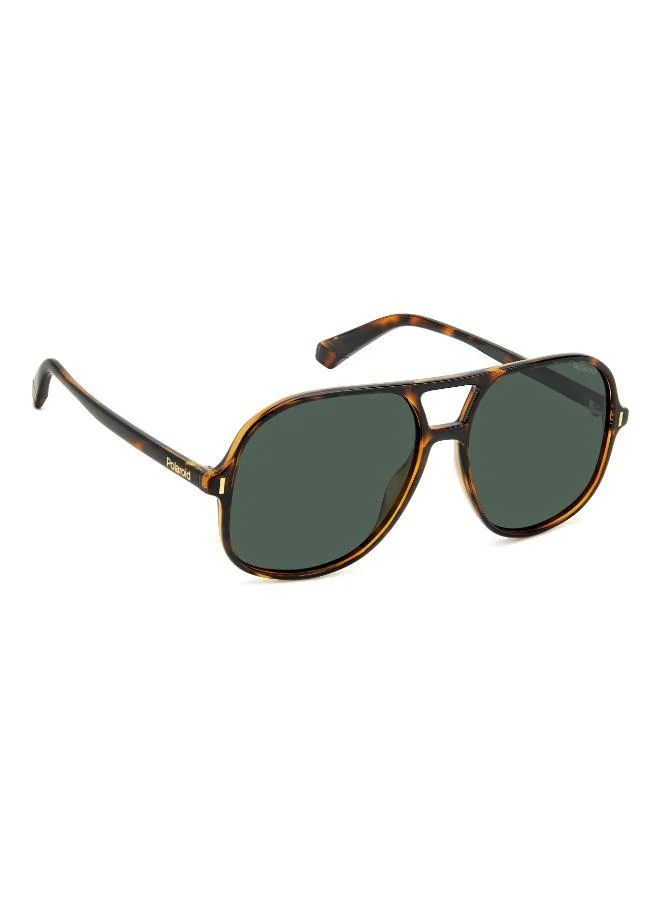 Polaroid  Square Double Bridge Sunglasses Frames  | Best Price UAE